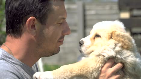 puppy alabai. the guy kissing the puppy alabai