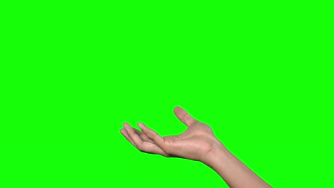 mano humana en el fondo verde.