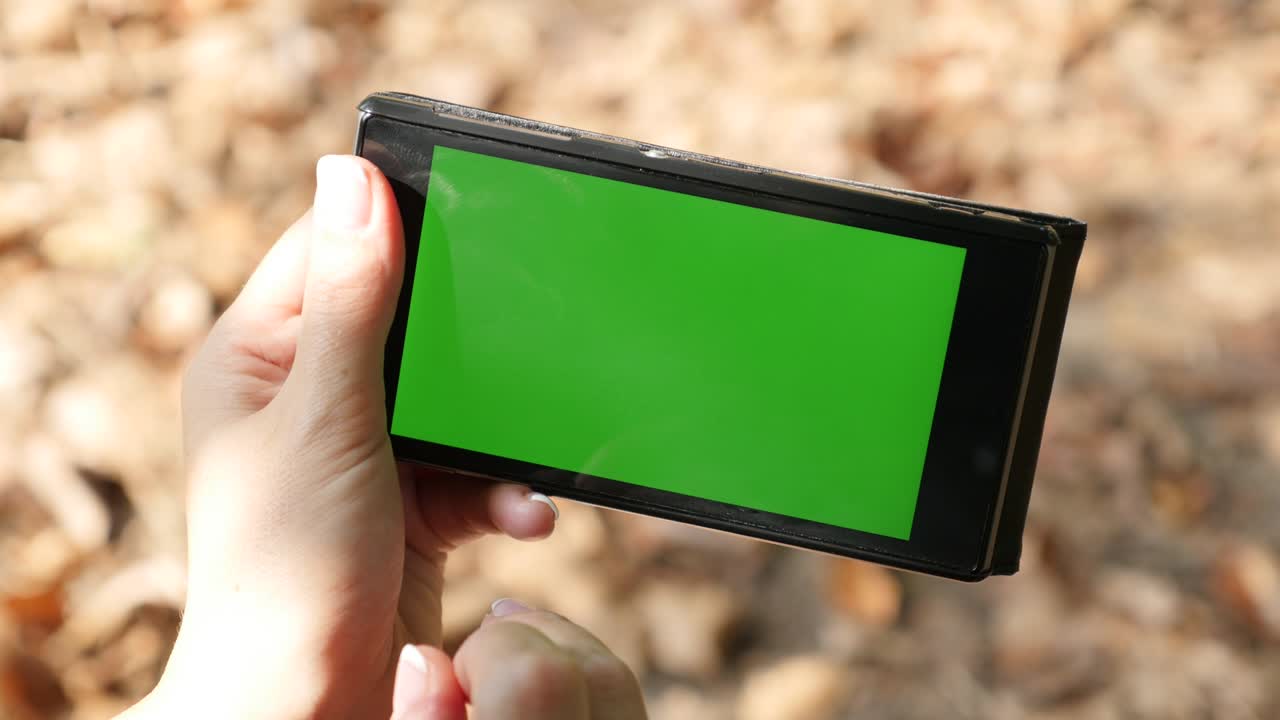 자연과 초창기 가을 시간에 스마트 폰 4k를 사용하는 여성