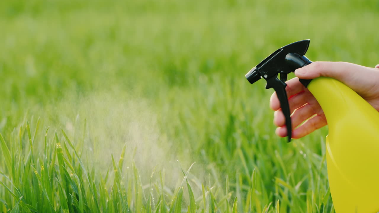 rocíe líquido del rociador manual sobre el cuidado del jardín del césped