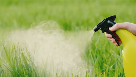 spray liquid from the hand sprayer onto the lawn garden care