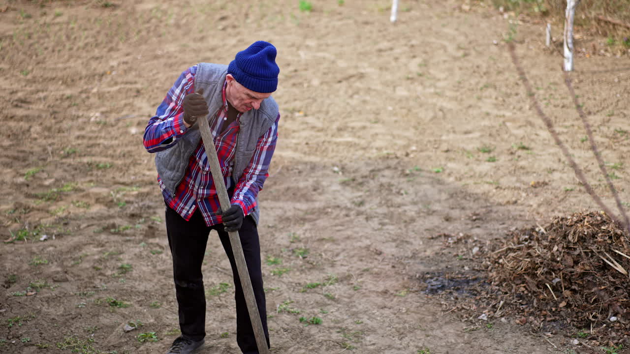 Old man in blue cap, checkered shirt and vest stands leaning on the shovel. Farmer is digging a hole to plant a tree.