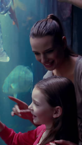 happy family looking at fish tank