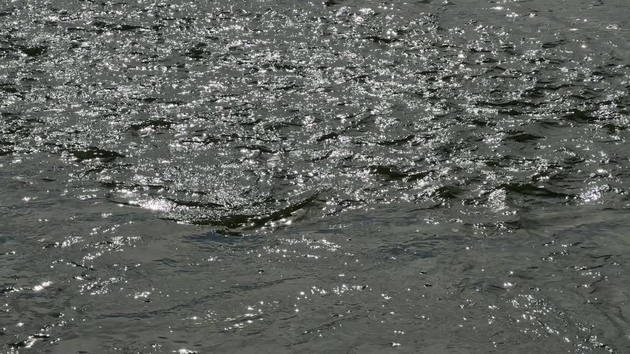 Cahaya berkilauan di bawah sinar matahari siang di permukaan air di Laguna Milnerton, Cape Town