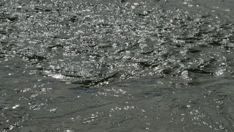 light shimmers in the midday sun on water’s surface at the milnerton lagoon in cape town.