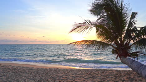 A-horizontal-palm-frames-a-dramatic-sunset-along-a-tropical-beach-in-Thailand