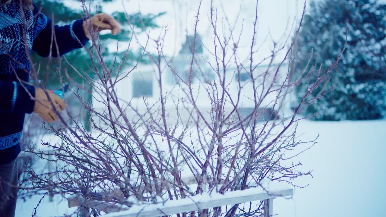 мужчина собирает дрова с голого дерева, чтобы зажечь огонь в горячей ванне - статический снимок