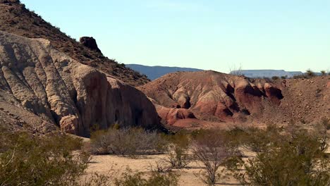 位於德克薩斯州比格本德國家公園 (big bend national park) 的乾旱環境,