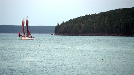 Side-profile-view-of-sailboat-at-entrance-of-marina-buoys,-forested-rocky-shoreline-behind