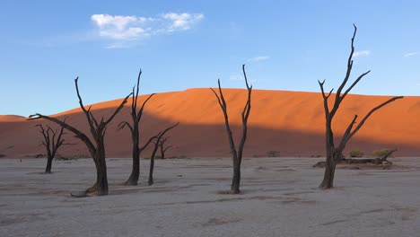 dead trees silhouetted at dawn at deadvlei and sossusvlei in namib naukluft national park namib desert namibia 1