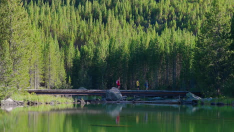 people walking on a bridge over a reflective lake with a lush forest in the background