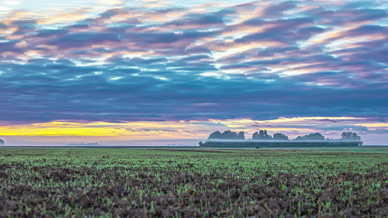 시골 들판 위에 안개 낀 일출 하늘에 흩어진 구름