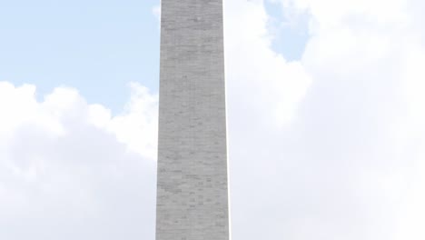 close up of the washington monument through some trees located in washington dc in the usa