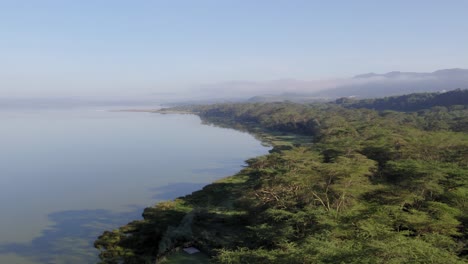 drone shot of lake shoreline with green acacia trees lake elementaita kenya