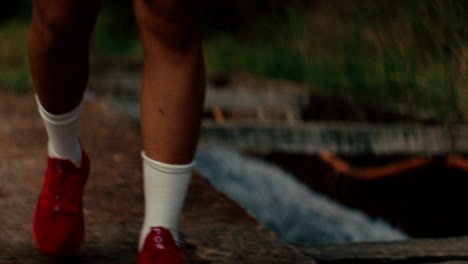 person walking on a path near water