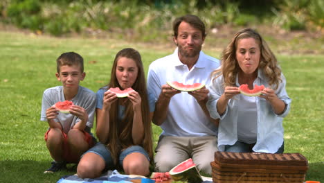 happy family eating a watermelon while having a picnic