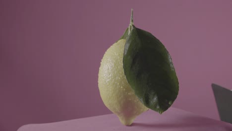 limón girando con bucle en la pantalla de fucsia para la llave de croma