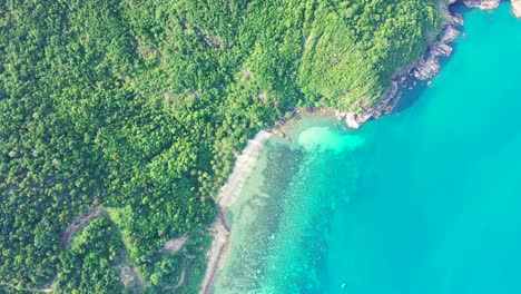 Vertical-tropical-azure-sea-background