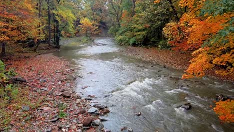 Fliegen-über-Einen-Bach-Während-Der-Laubspitzen-Im-Herbst