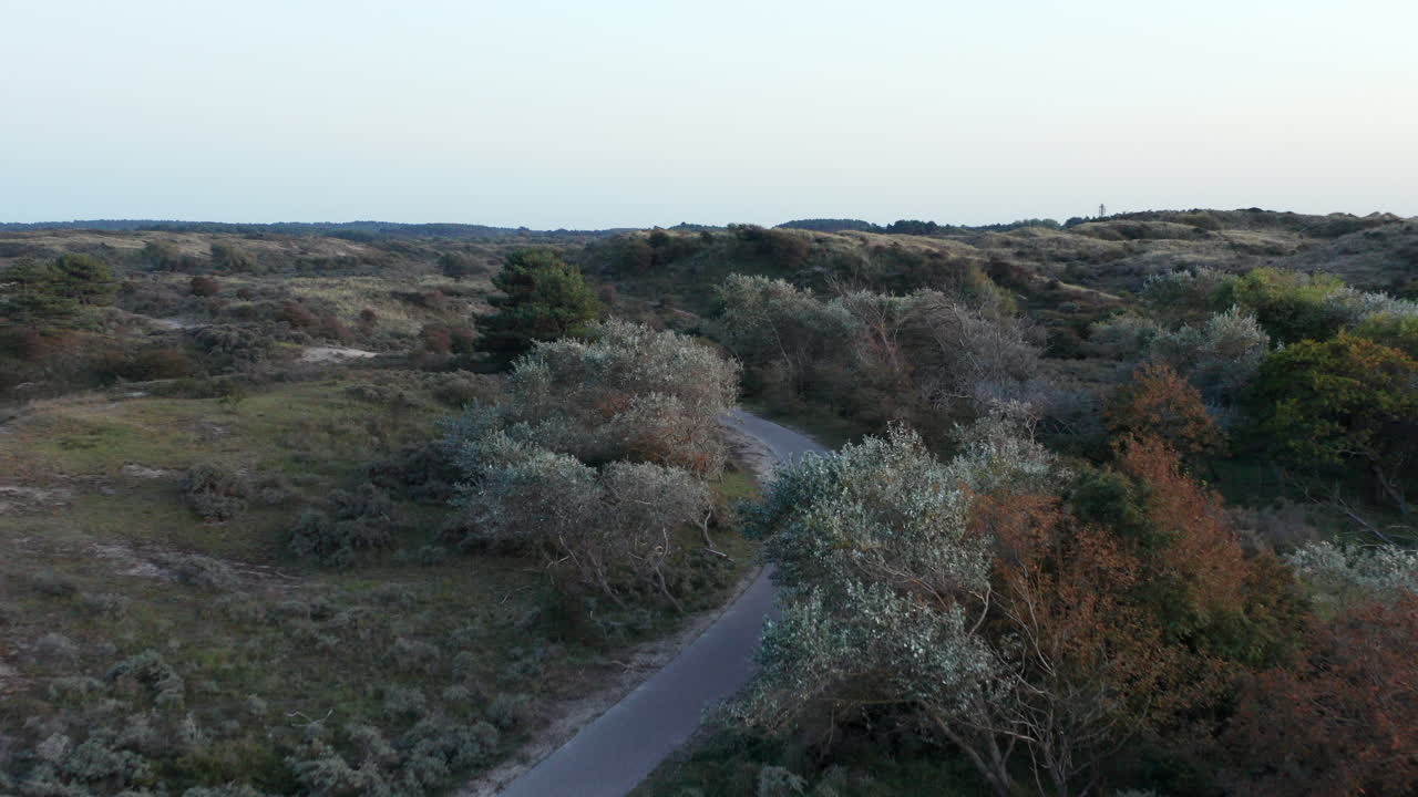 ruta ciclista en medio del accidentado paisaje del parque nacional zuid-kennemerland en holanda septentrional