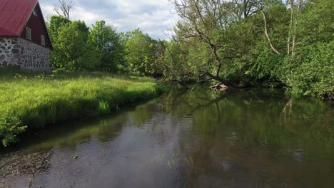 Niedriger-Ast-An-Einem-Ruhigen-Fluss-Neben-Einem-Alten-Haus-In-Südschweden-Skåne-österlen,-Nybroån-Im-Sommer,-Luft-Niedrig-Vorwärts-Langsam