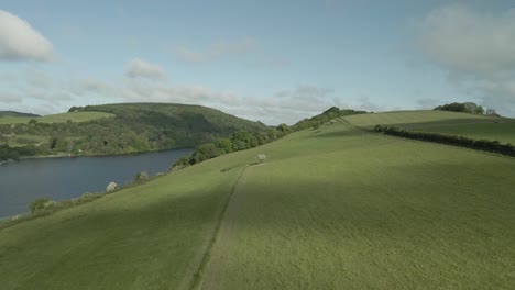 verdant green hills overlooking the lake of lough derravaragh, westmeath, ireland