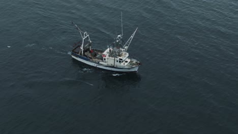 Fisherman-On-Fishing-Trawler-Sailing-On-The-Calm-Open-Waters-Of-Saint-Lawrence-River-In-Quebec,-Canada