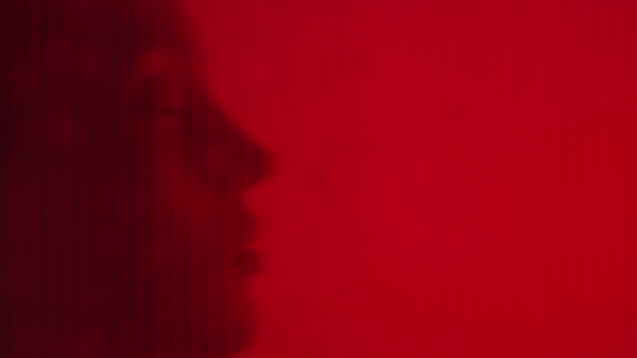 빨간색 벽에 있는 실루