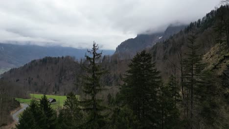 EVergreen-pine-trees-along-mountain-ridge-with-idyllic-farm-house-in-grassy-meadow-below-leafless-forest