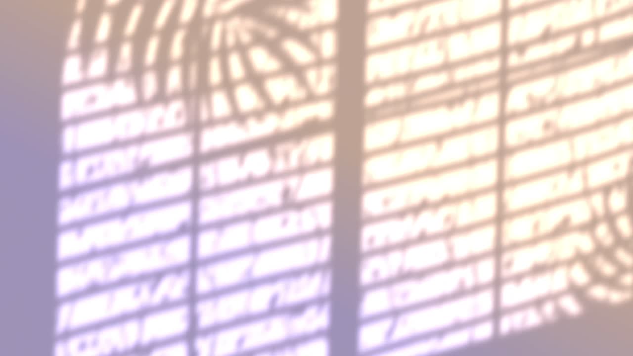 노란색 배경에 떨어지는 잎과 비의 창문 그림자의 애니메이션