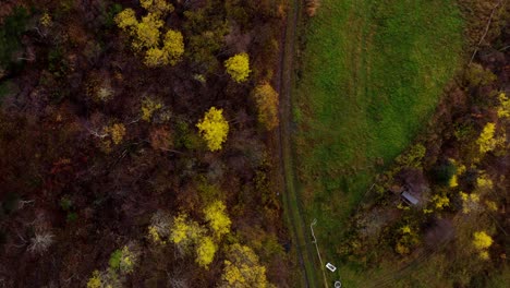 Vista-Aérea-Del-Bosque-Coloreado-En-Las-Montañas-Durante-La-Temporada-De-Otoño-A-Mediados-De-Noruega