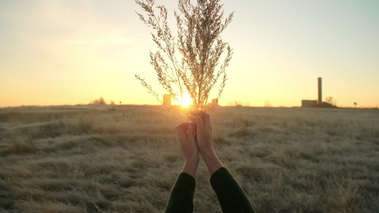 Sunrise/Sunset in a Field with Bouquet in Hands
