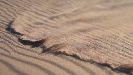 windswept sand dune