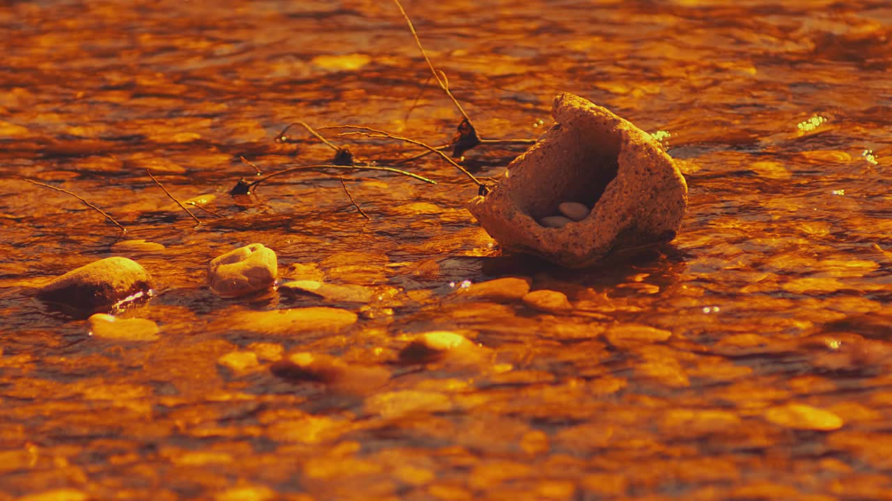 일출 강 안의 돌