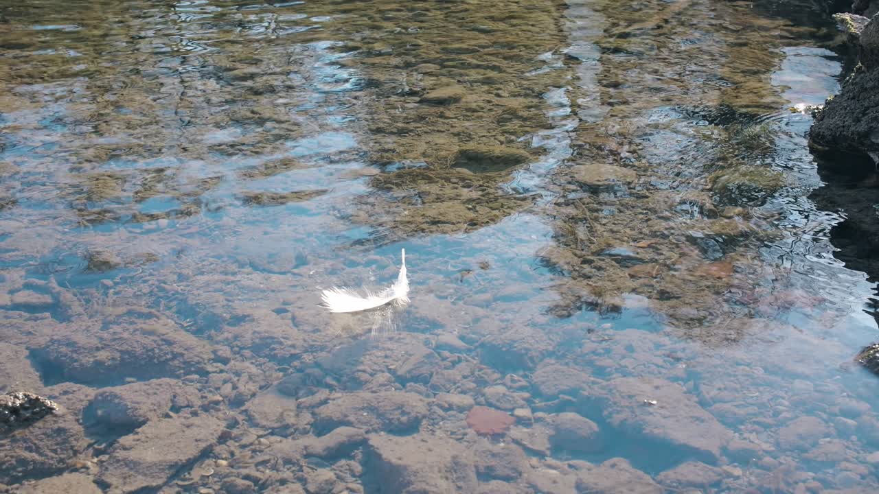 단 하나의  털이 차분한 물의 표면에서 부드럽게 떠다니며, 털은 물 표면의 복잡한 패턴과 수중 바위에 둘러싸여 있습니다.