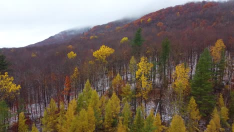 Nadelwald-Trifft-Auf-Laubwald-Inmitten-Der-Herbstsaison-Mit-Schnee-Auf-Dem-Boden-In-Mount-Washington,-New-Hampshire,-USA