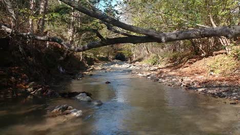 tiro de cerca de un dron en un tranquilo río de montaña