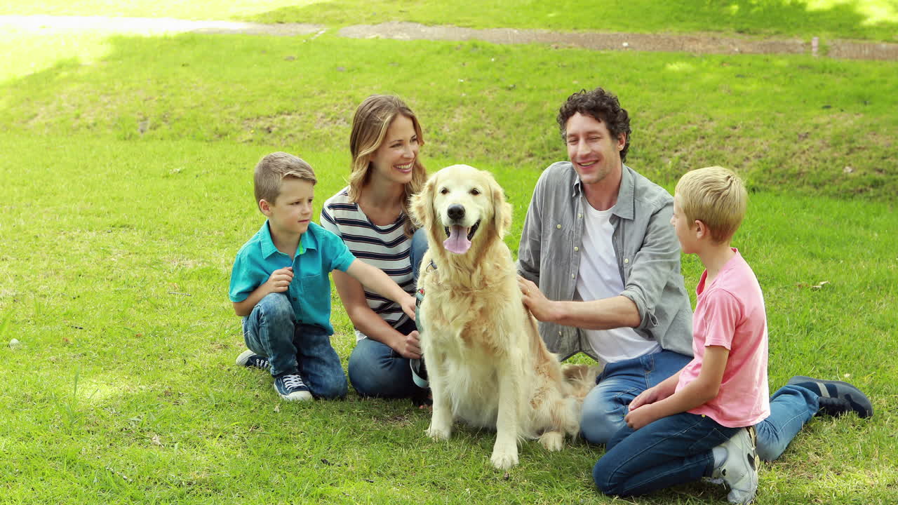 공원에서 개와 함께하는 가족