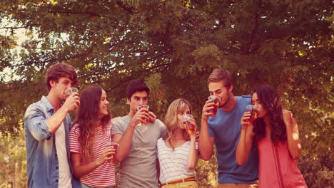 happy friends toasting in the park