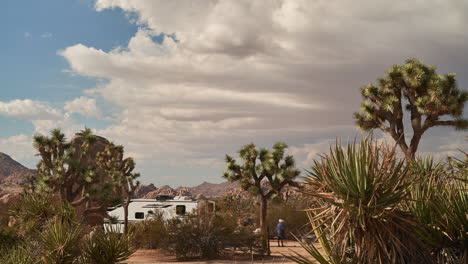 magnífico lapso de tiempo en la región del desierto del árbol de joshua