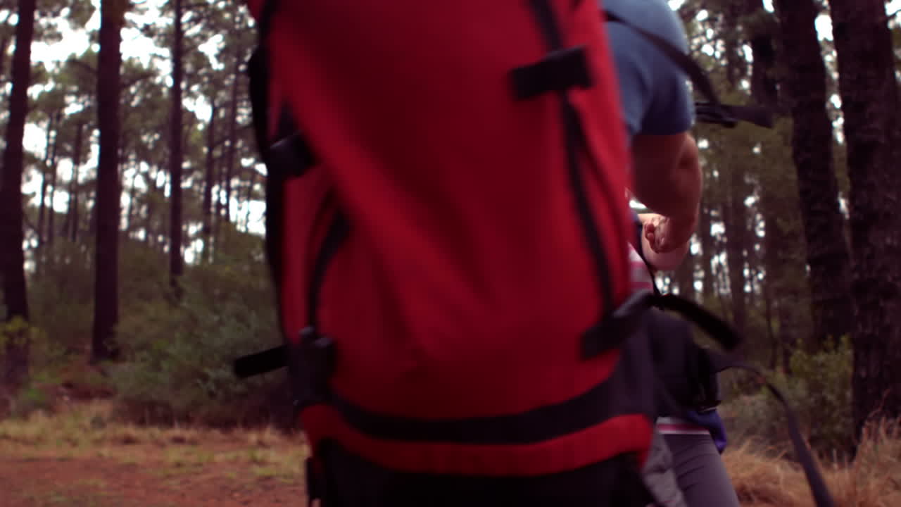 한 커플 이 숲 을 산책 하고 있다