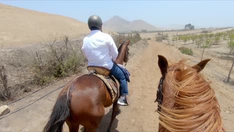 Dos-Jinetes-Ecuestres-Pasando-Por-Tierras-De-Cultivo-Desiertas,-Punto-De-Vista-Del-Jinete