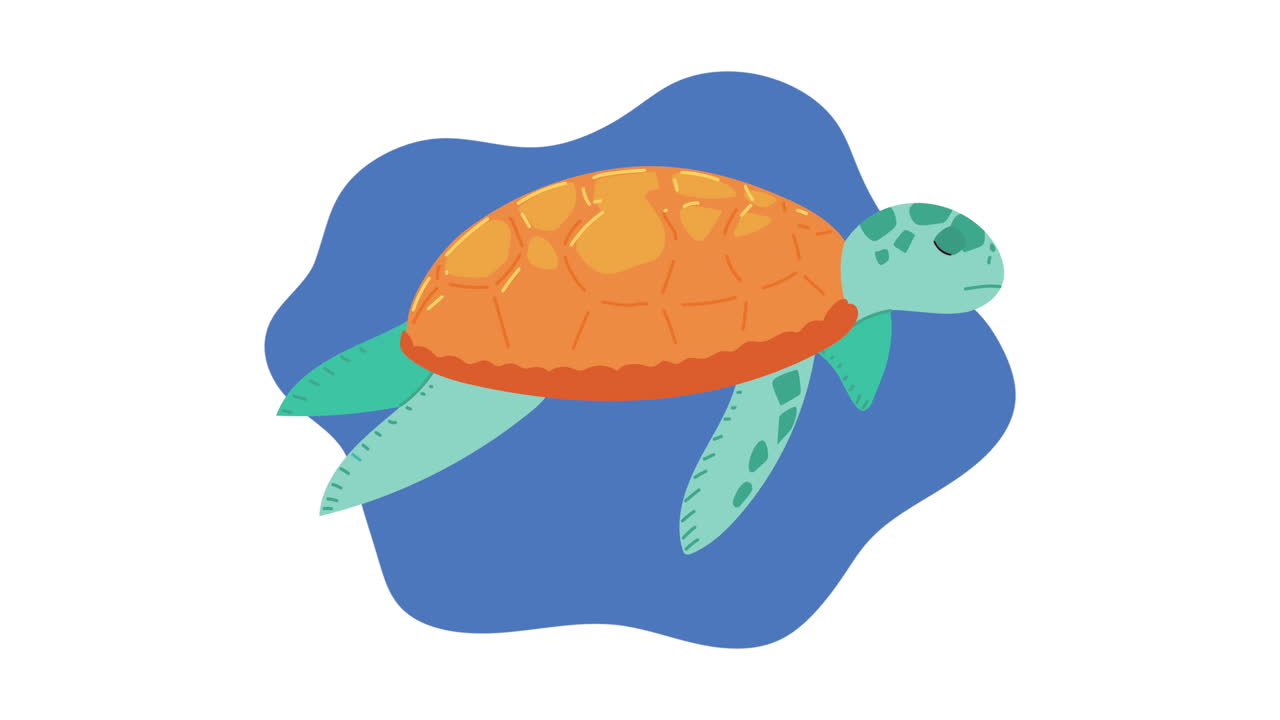 생태학 애니메이션 - 거북이 수영