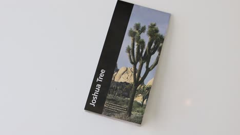 overhead shot of joshua tree pamphlet book on a white background