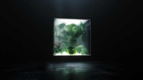 loop an enchanting aquatic ecosystem displayed beautifully within a glas cubic container