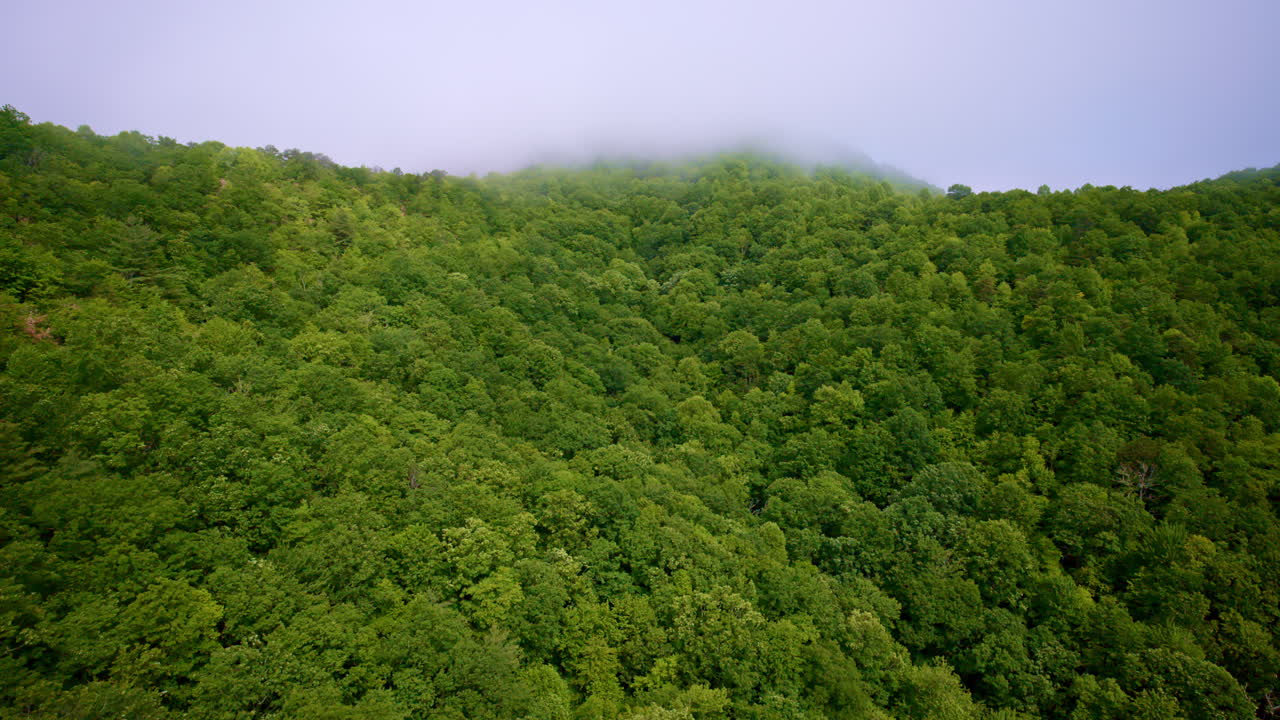 Smooth cinematic drone shot with fog filling the landscape