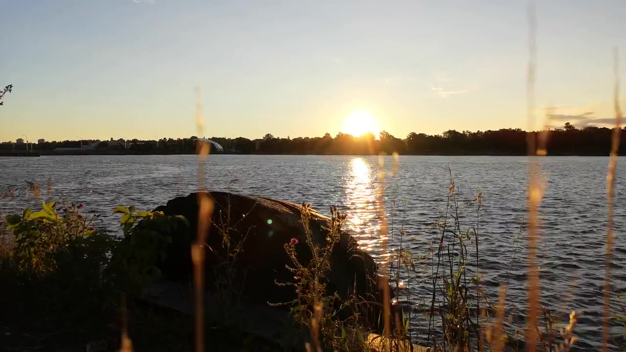 Tramonto sull'acqua con erba alta.