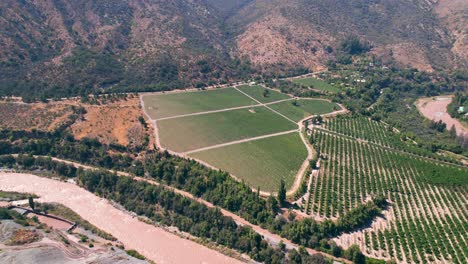 Toma-Aérea-De-Establecimiento-De-Grandes-Viñedos-En-La-Región-Del-Cañón-Del-Maipo,-Chile