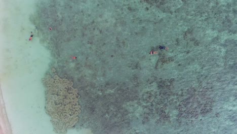 Aerial-View---People-on-Coral-Beach