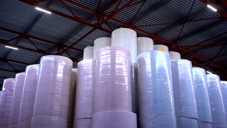 manufacture of toilet paper and napkins